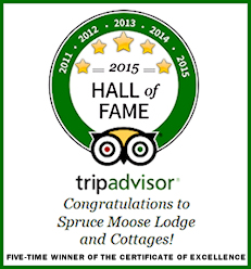 7-Time Excellence Award Winner Hall of Fame Bed and Breakfast in New Hampshire!